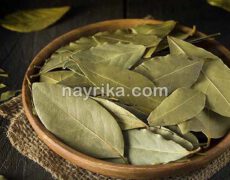 برگ بو: خواص، مضرات، طبع / برگ بو در بارداری / برگ بو در آشپزی و مرغ