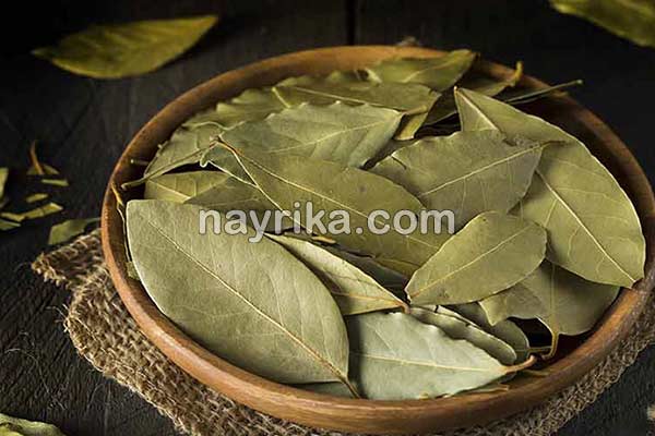 برگ بو, برگ بو چیست, خواص برگ بو, مضرات برگ بو, طبع برگ بو, برگ بو در بارداری, برگ بو در آشپزی, برگ بو در مرغ برگ بو, برگ بو چیست, خواص برگ بو, مضرات برگ بو, طبع برگ بو, برگ بو در بارداری, برگ بو در آشپزی, برگ بو در مرغ