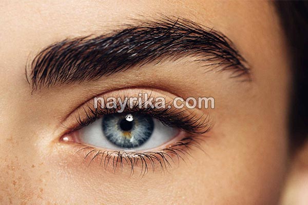 تعبیر خواب ابرو, تعبیر خواب کلی ابرو, تعبیر خواب ابرو برداشتن, تعبیر خواب ابرو پرپشت, تعبیر خواب ابرو ریختن, تعبیر خواب ابرو برداشتن زن, تعبیر خواب ابرو برداشتن دختر مجرد تعبیر خواب ابرو, تعبیر خواب کلی ابرو, تعبیر خواب ابرو برداشتن, تعبیر خواب ابرو پرپشت, تعبیر خواب ابرو ریختن, تعبیر خواب ابرو برداشتن زن, تعبیر خواب ابرو برداشتن دختر مجرد
