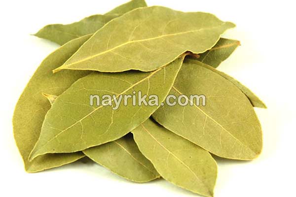 برگ بو, برگ بو چیست, خواص برگ بو, مضرات برگ بو, طبع برگ بو, برگ بو در بارداری, برگ بو در آشپزی, برگ بو در مرغ برگ بو, برگ بو چیست, خواص برگ بو, مضرات برگ بو, طبع برگ بو, برگ بو در بارداری, برگ بو در آشپزی, برگ بو در مرغ