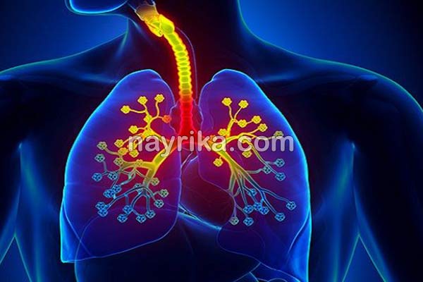 عفونت ریه, علائم عفونت ریه, تشخیص عفونت ریه, درمان عفونت ریه, طول درمان عفونت ریه, برای عفونت ریه چه بخوریم, درمان عفونت ریه در طب سنتی, درمان عفونت ریه دکتر خیراندیش, بهترین آنتی بیوتیک شیمیایی برای عفونت ریه, مرگ بر اثر عفونت ریه, آیا عفونت ریه خطرناک است, عفونت ریه در کودکان عفونت ریه, علائم عفونت ریه, تشخیص عفونت ریه, درمان عفونت ریه, طول درمان عفونت ریه, برای عفونت ریه چه بخوریم, درمان عفونت ریه در طب سنتی, درمان عفونت ریه دکتر خیراندیش, بهترین آنتی بیوتیک شیمیایی برای عفونت ریه, مرگ بر اثر عفونت ریه, آیا عفونت ریه خطرناک است, عفونت ریه در کودکان