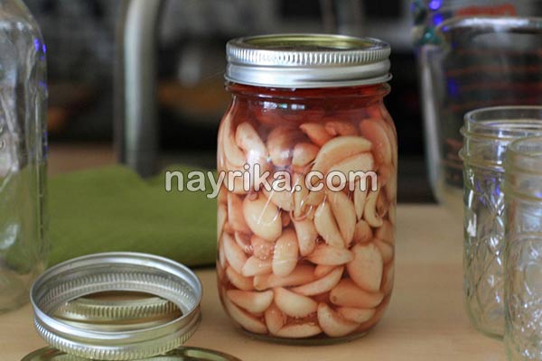 سیر ترشی, طرز تهیه سیر ترشی خانگی, محل نگهداری سیر ترشی, طرز تهیه سیر ترشی شمالی فوری, طرز تهیه سیر ترشی سفید رنگ, طرز تهیه سیر ترشی با سرکه قرمز, سیر ترشی فوری با رب انار, سیر ترشی حبه ای, خواص سیر ترشی ۲۰ ساله, خواص سیر ترشی از نظر طب سنتی, خواص سیر ترشی برای کودکان, خواص سیر ترشی در بارداری, سیر ترشی فشار خون, طرز تهیه سیر ترشی با رب انار, خواص سیر ترشی بیست ساله, خواص سیر ترشی ۲۰ ساله, سیر ترشی خانگی