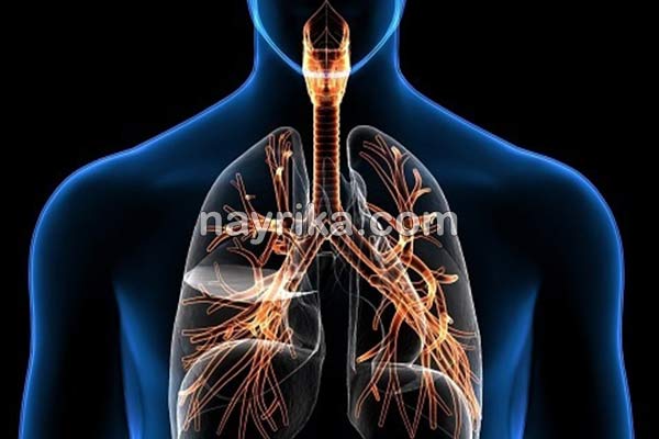 عفونت ریه, علائم عفونت ریه, تشخیص عفونت ریه, درمان عفونت ریه, طول درمان عفونت ریه, برای عفونت ریه چه بخوریم, درمان عفونت ریه در طب سنتی, درمان عفونت ریه دکتر خیراندیش, بهترین آنتی بیوتیک شیمیایی برای عفونت ریه, مرگ بر اثر عفونت ریه, آیا عفونت ریه خطرناک است, عفونت ریه در کودکان عفونت ریه, علائم عفونت ریه, تشخیص عفونت ریه, درمان عفونت ریه, طول درمان عفونت ریه, برای عفونت ریه چه بخوریم, درمان عفونت ریه در طب سنتی, درمان عفونت ریه دکتر خیراندیش, بهترین آنتی بیوتیک شیمیایی برای عفونت ریه, مرگ بر اثر عفونت ریه, آیا عفونت ریه خطرناک است, عفونت ریه در کودکان