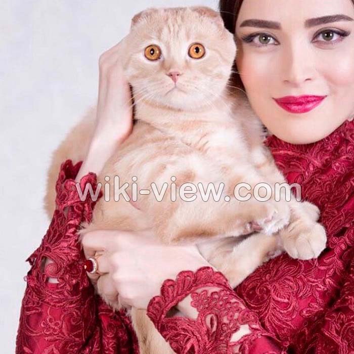 بهنوش طباطبایی, بیوگرافی بهنوش طباطبایی, عکس های بهنوش طباطبایی و مهدی پاکدل, علت جدایی بهنوش طباطبایی از مهدی پاکدل, بهنوش طباطبایی بی حجاب, بهنوش طباطبایی اینستا, بهنوش طباطبایی قبل از عمل, ازدواج مجدد بهنوش طباطبایی, خواهر بهنوش طباطبایی, بیوگرافی همسر دوم بهنوش طباطبایی, خانه بهنوش طباطبایی, فرزند مهدی پاکدل و بهنوش طباطبایی