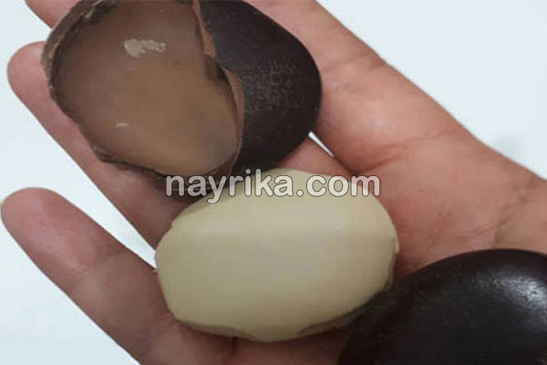 قرص کمر, قرص کمر چیست, خواص قرص کمر, مضرات قرص کمر, قرص کمر برای مو, عوارض قرص کمر, فواید قرص کمر, تقویت مو با قرص کمر